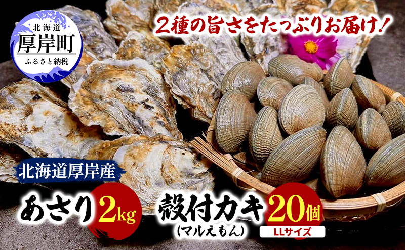北海道 厚岸産 砂抜き済み あさり 2kg ＆ ブランド牡蠣 マルえもん 殻付き LLサイズ 20個 【光輝】 [ 魚貝類 海鮮 海の幸 みそ汁 酒蒸し アサリバタ 産地直送 生食用牡蠣 生食用 牡蠣 カキ ］
