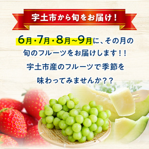 T007-natuiro　【宇土市】なついろ定期便