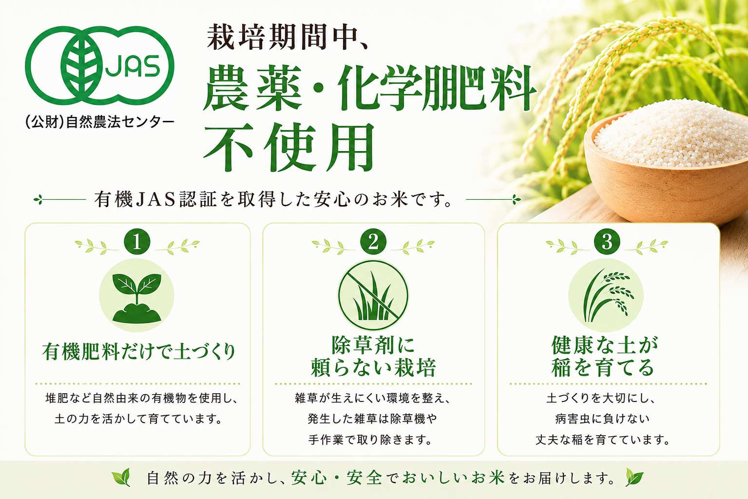 有機栽培米 新潟産コシヒカリ 10kg 有機JAS認証 令和7年産 精米 白米
