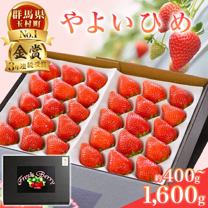 【ふるさと納税】群馬県やよいひめ（いちご）約400g～1,600g【3年連続金賞受賞！】※2025年12月～2026年5月にて順次発送予定