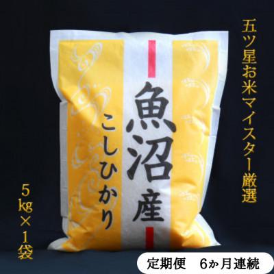 ふるさと納税 魚沼市 【毎月定期便】五つ星お米マイスター厳選 無洗米北魚沼産コシヒカリ5kg全6回