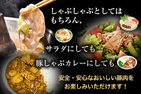 バラしゃぶしゃぶ 600g 清村養豚《60日以内に出荷予定(土日祝除く)》肉 豚 豚肉