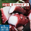 【ふるさと納税】泉州の地ダコ約1kg(2杯～3杯)【配送不可地域：離島】【1078871】