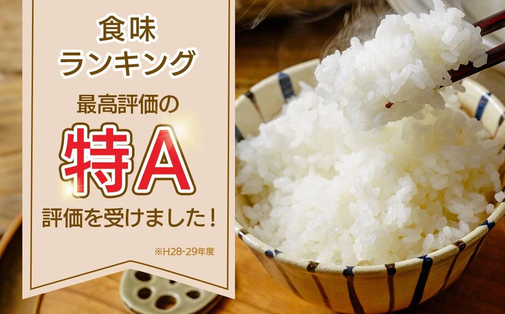 【令和7年新米】秦野のお米「はるみ」5kg（10月～順次発送）| 神奈川県産 秦野市 大地 5kg 5キロ 米 こめ コメ お米 白米 精米 お取り寄せ 贈答 人気 ランキング ごはん ご飯 贈り物 
