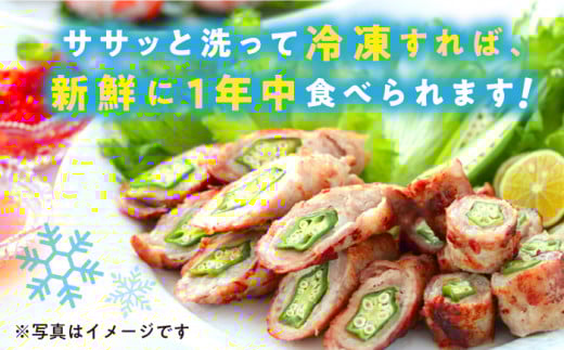 【順次発送】朝採れ オクラ 約1kg＜パッパラパー農園＞ [CFI001] おくら オクラ 野菜 夏野菜 新鮮 やさい おくら 贈答 