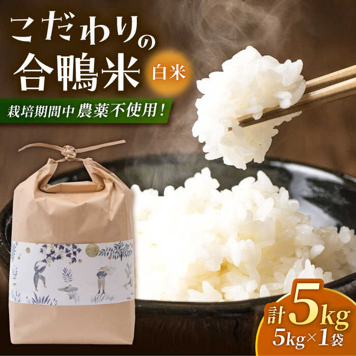 【ふるさと納税】〈令和7年度産米〉合鴨農法米 5kg 【あいがもん倶楽部】[ZAR026] 令和7年