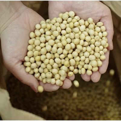 ふるさと納税 小田原市 【味噌 神奈川県 小田原市】いいちみそ500g 6種セット(計3kg) |  | 01