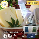 【ふるさと納税】発送時期が選べる 牧場 チーズ 2種類 セットハードチーズ ゴーダチーズ HARD GOUDA ブロック スティック お取り寄せ ご当地 送料無料 北海道 十勝 芽室町