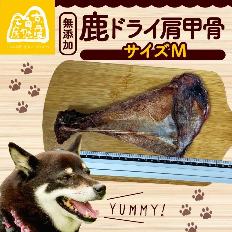 鹿ドライ肩甲骨Mサイズ（20～22㎝） 【ペットフード】 