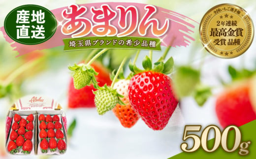 【 予約受付 】 あまりん DXパック 500g （ 250ｇ × 2P ） 4月発送 いちご 苺 ストロベリー 産地直送 ご当地 果物 くだもの フルーツ デザート 食品 冷蔵 ロコファーム 埼玉県 羽生市