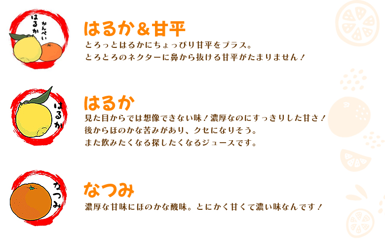 ＜一歩会 ジュエリーボックス ジュース飲み比べセット 720ml×12本入り（果汁100%ストレートジュース）＞『令和8年5月より順次出荷予定』愛媛 みかん ミカン 柑橘 果物 フルーツ 特産品 渡江