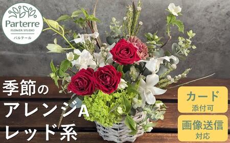 フラワーアレンジメント A  【 レッド 系】 岩手県 北上市 C0185-RD  （ パルテール )  花 観賞用 アレンジ プレゼント ギフト 誕生日 お祝い クリスマス 卒業 入学 バレンタインデー ホワイトデー 贈答 父の日 敬老の日 感謝 退院 快気祝い プロポーズ ご褒美 生花 季節の花 赤 白 黄色 ピンク オレンジ 青 紫 寄せ植え 鉢植え ガーデニング 庭 玄関 リビング 部屋 客間 オフィス 開店祝い 周年祝い 退職祝い 就職祝い 還暦 成人 記念日