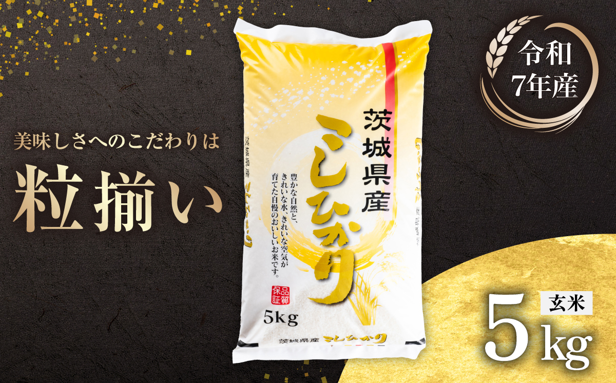 【最短7日発送】玄米 コシヒカリ 5kg 茨城県下妻市産 【 お米 米 ご飯 こめ コシヒカリ 令和7年産 茨城県産 】