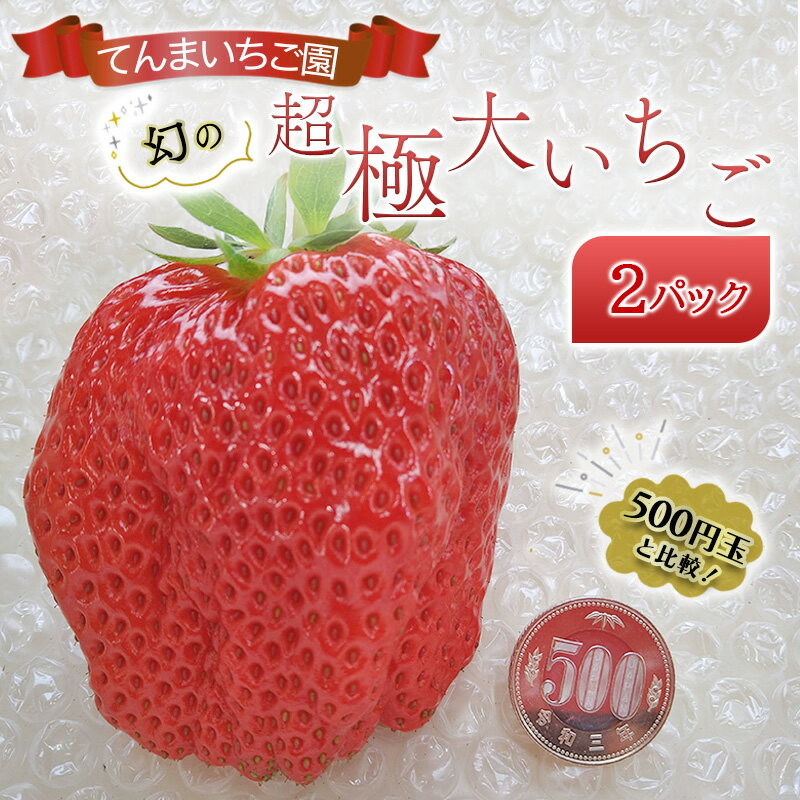 【ふるさと納税】【予約受付】てんまいちご園　幻の超極大いちご 2パック入りボックス　いちご イチゴ 大粒 極大 超極大 兵庫県 稲美町 果物類 苺 　お届け：12月～1月にお届け