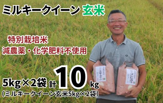 
            特別栽培米 ミルキークイーン 玄米 10kg （5kg×2袋）  令和7年産 2025年産 小分け 単一米 精米 減農薬 化学肥料不使用 埼玉県認証 埼玉県 川島町
          