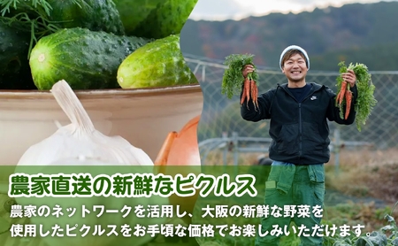 ＜農家が作る 王道ピクルス！＞3種野菜のピクルス(2本) 常温 常温保存 酢漬け 漬物 おかず サイドディッシュ ヘルシー カラフル おつまみ 【m104-05-A】【エントランスファーム】