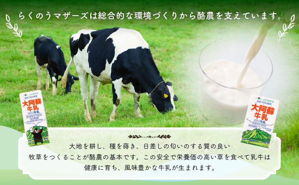 大阿蘇牛乳 250ml×24個入（1箱）