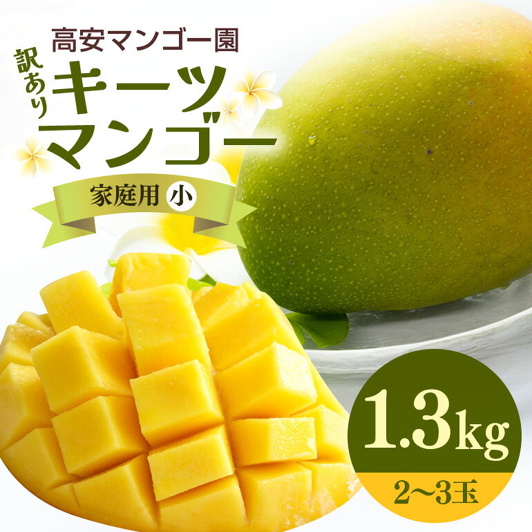 【ふるさと納税】【先行予約 2027年 発送】高安マンゴー園 キーツマンゴー1.3kg（2～3玉）白箱 家庭用(小) 訳あり