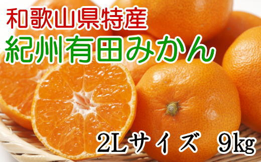 
[秀品]和歌山有田みかん　9kg(2Lサイズ) ※2024年11月中旬～1月中旬頃順次発送【tec831】
