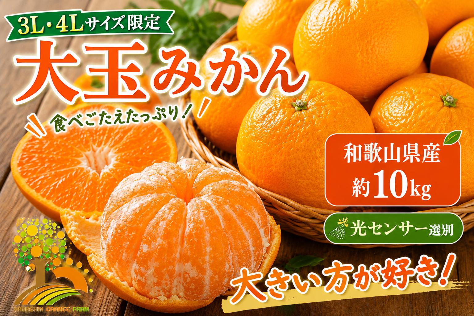 
            有田みかん 約10kg 大玉3L以上 有機質肥料100% ＼光センサー選別／ 農家直送 ※北海道・沖縄・離島への配送不可 ※2025年11月中旬～2026年1月上旬頃に順次発送予定
          