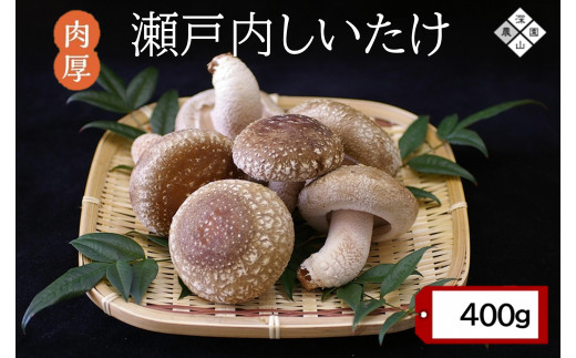 
                  【有機】深山農園の 瀬戸内しいたけ ～肉厚で、大きく、ジューシー～400g
                