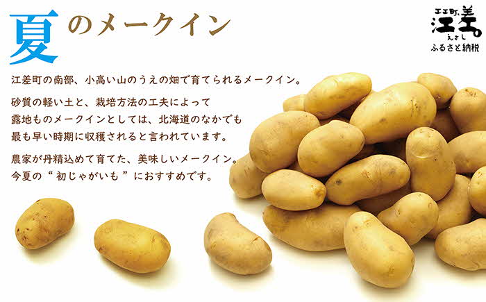 【7月頃〜順次出荷】砂質土育ち「夏」メークイン M・L混合5kg　露地もの　手掘り　江差産メークイン　北海道のじゃがいも　芋の塩煮　肉じゃが　カレー　シチュー　コロッケ　色々なお料理に　北海道産