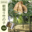 【ふるさと納税】【2025年3月末発送開始予定】 ＜長岡京産＞朝堀り竹の子 2kg ふるさと納税 京都 竹の子 筍 たけのこ タケノコ 朝掘り 春 味覚 京都府 長岡京市 NGAM001