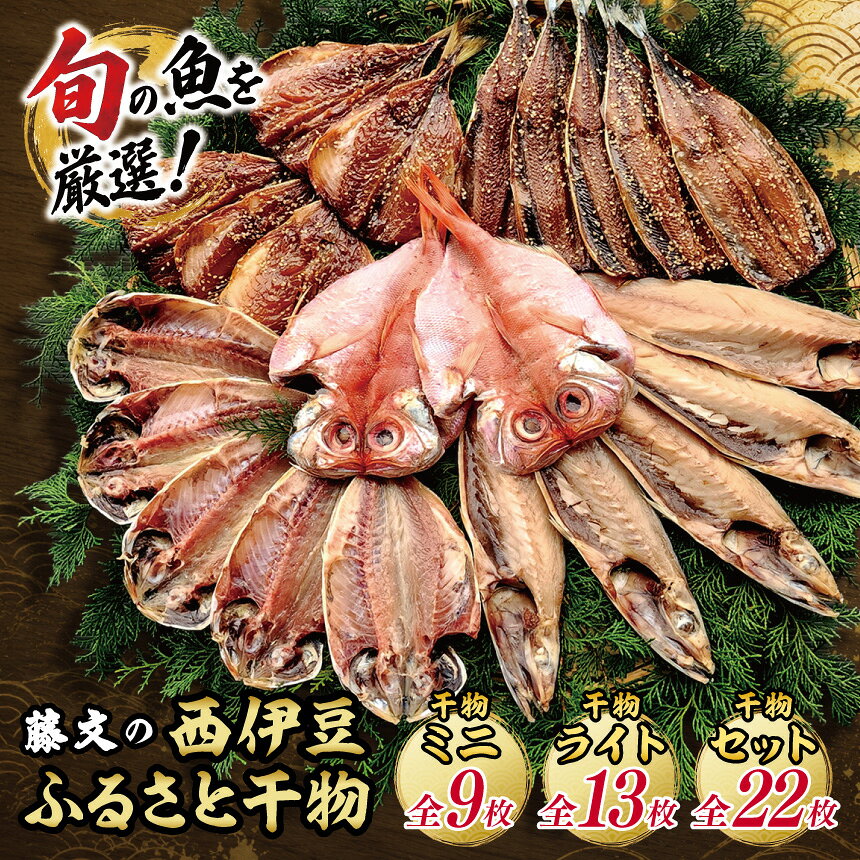 静岡 藤文のふるさと干物セット