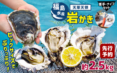 福島水産の天草天領岩かき 約2.5kg |  牡蠣 岩牡蠣 カキ 牡蠣 岩牡蠣 カキ 牡蠣 岩牡蠣 カキ 牡蠣 岩牡蠣 カキ 牡蠣 岩牡蠣 カキ 牡蠣 岩牡蠣 カキ 牡蠣 岩牡蠣 カキ 牡蠣 岩牡蠣 カキ 牡蠣 岩牡蠣 カキ 牡蠣 岩牡蠣 カキ 牡蠣 岩牡蠣 カキ 牡蠣 岩牡蠣 カキ 牡蠣 岩牡蠣 カキ 牡蠣 岩牡蠣 カキ 牡蠣 岩牡蠣 カキ 牡蠣 岩牡蠣 カキ 牡蠣 岩牡蠣 カキ 牡蠣 岩牡蠣 カキ 牡蠣 岩牡蠣 カキ 牡蠣 岩牡蠣 カキ 牡蠣 岩牡蠣 カキ 牡蠣 岩牡蠣 カキ 牡蠣 岩牡蠣 カキ 牡蠣 