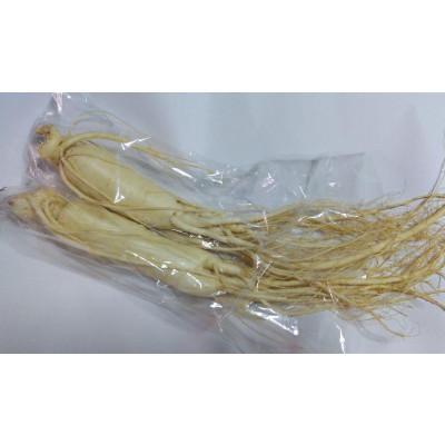 ふるさと納税 長野県 生高麗人参 6年生 約170g/1本【 栽培期間中低農薬 】信州産 朝鮮人参 国産 |  | 01
