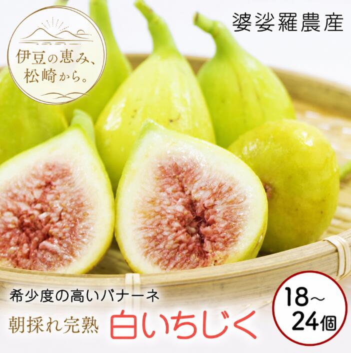【ふるさと納税】婆娑羅農産 生白いちじく バナーネ いちじく イチジク 無花果 朝採り　　 皮ごと 果物 くだもの フルーツ お菓子 デザート スイーツ 料理 サラダ ジャム ケーキ 8月中旬～順次発送予定