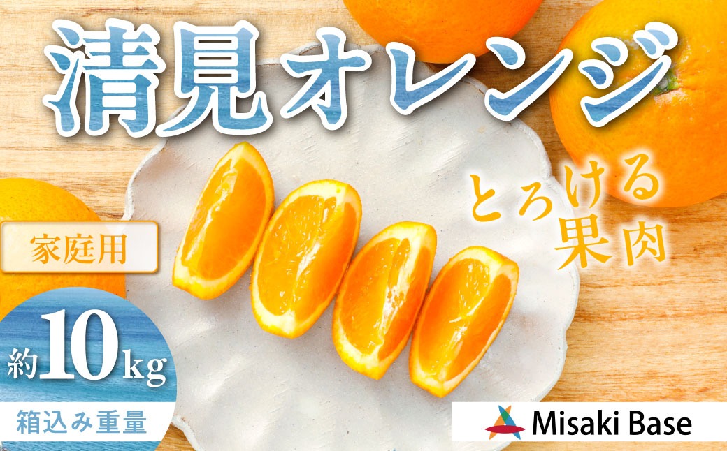 【先行受付】【家庭用】清見オレンジ 10kg ※離島への配送不可 （2026年3月中旬より順次発送） IKTAB008 