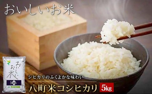 【令和7年産】八町米 コシヒカリ５Kg　米 お米 白米 産地直送 農家直送 精米 美味しい