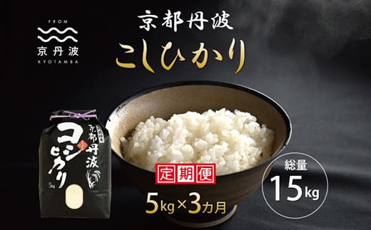 【3カ月定期便】京丹波こしひかり 5kg×3カ月連続 合計15kg 令和6年産 新米 京都 米 精米 コシヒカリ ※北海道・東北・沖縄・その他離島は配送不可 [030MB001R]