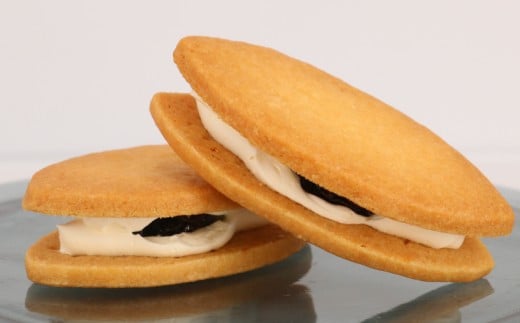 レーズンサンド 10個  ぶどう ブドウ 藤稔  洋菓子  神奈川 湘南 藤沢