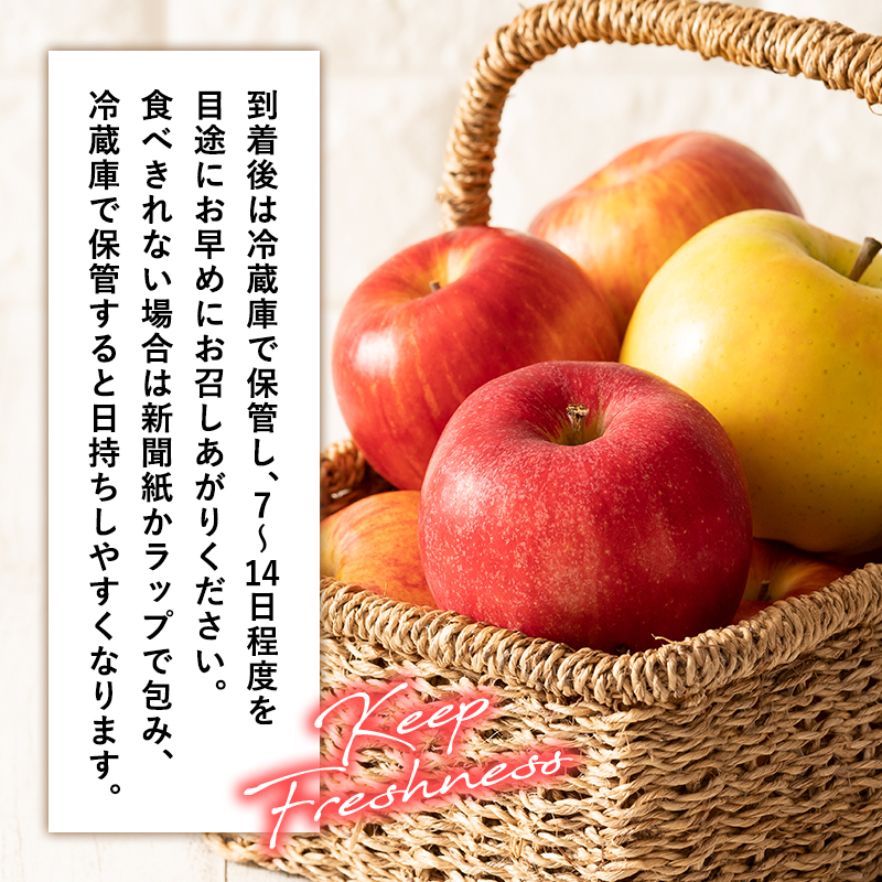 年明け発送【訳あり】家庭用 もりのかがやき 約5kg【那由多のりんご園・平川市産・希少品種】