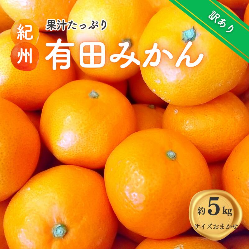 【ふるさと納税】 紀州 有田みかん 訳あり 約5kg ご家庭用 サイズ混合 温州みかん ミカン 蜜柑 柑橘 フルーツ ※2025年11月下旬～2026年1月中旬頃順次発送予定 ※北海道・沖縄・離島配送不可