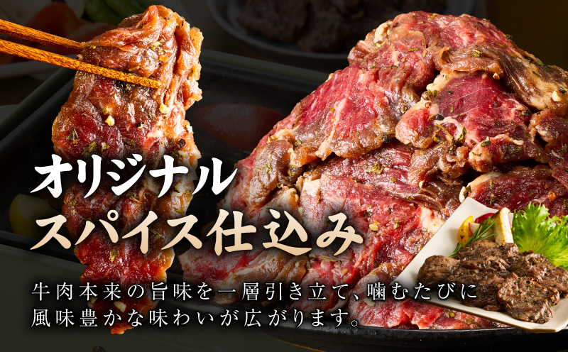 【満足牛ハラミ】オリジナルスパイス仕込み 合計1kg 【味付け ハラミ 小分け 焼くだけ 簡単調理 BBQ 牛肉 250g×4P】 G3356