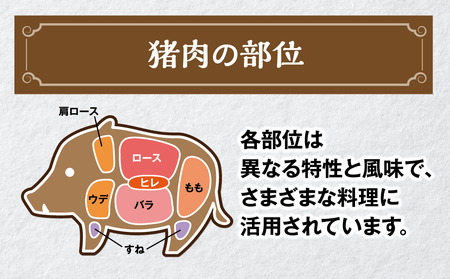 【大崎ジビエ】国産ジビエ認証取得｜猪肩ロース肉 100g