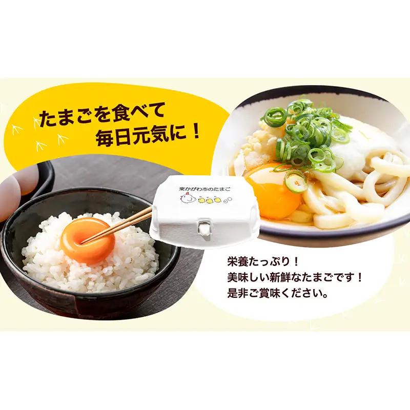 東かがわ市のたまご「鶏卵Mサイズ（10個×5P）」割れ保障1p含む 3ヵ月定期便 たまご 卵 鶏卵 3回 定期便