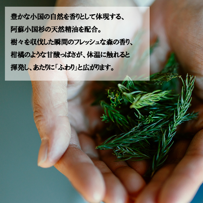 【杖立温泉旅館組合】湯気の森 ボディクリーム 40g 入浴剤 25g 各1個 セット 杖立温泉 小国杉 温泉成分 精油 地元素材 しっとり 滑らか 保湿 企画開発 地場産品 ご自宅用 ギフト 贈答 贈