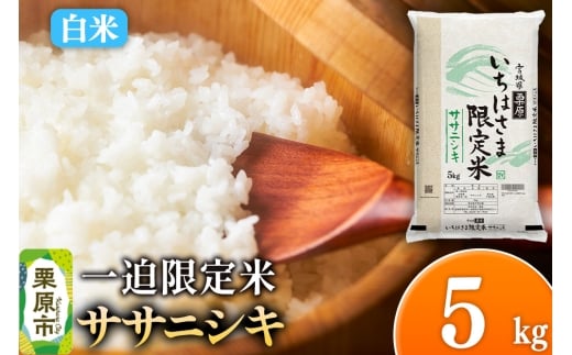 【白米】令和7年産 一迫限定米 ササニシキ 5kg