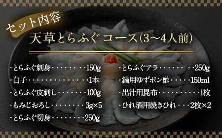 【白子付】【大皿】 国産 最高級!! 天草とらふぐ コース 【2026年12月上旬発送開始】 6種 セット 河豚 フグ ふぐ 刺し身 刺身 さしみ 白子 お魚 魚 さかな 魚介 魚介類