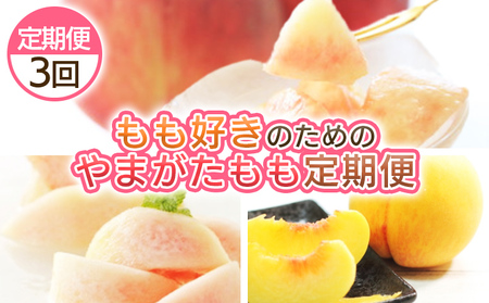 【定期便3回】もも好きのためのやまがたもも定期便 【令和8年産先行予約】FS25-694 くだもの 果物 フルーツ 山形 山形県 山形市 2026年産