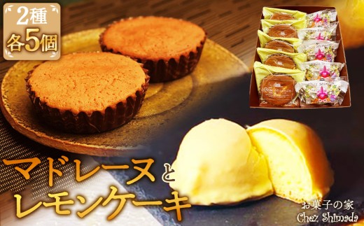 マドレーヌとレモンケーキ（10個入り） ／ マドレーヌ レモンケーキ 焼き菓子 詰め合わせ しっとり 個包装 おやつ ギフト 手土産 スイーツ バター風味 レモン風味 小分け プレゼント お取り寄せ 自宅用 軽い食感 愛知県 No.404