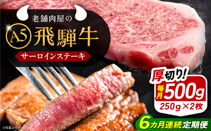 
            【6回定期便】 牛肉 飛騨牛 サーロインステーキ (A5ランク) 250g×2枚 / 和牛 国産 霜降り 肉 にく 牛肉 国産 和牛 高級肉 霜降り 産地直送 贈答用 ギフト ブランド牛 岐阜県 希少部位 岐阜県産 人気 お取り寄せ / 恵那市 / 岩島屋 [AUAJ028]
          
