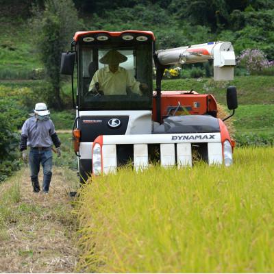 ふるさと納税 南魚沼市 南魚沼産コシヒカリ10kg 旧塩沢地区産限定 |  | 01