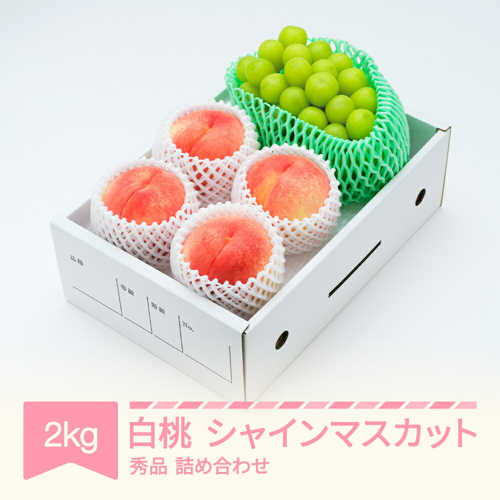 【ふるさと納税】【先行予約】 白桃 秀品＆シャインマスカット 詰め合わせ 品種おまかせ 約2kg 令和8年産 2026年産 山形県産 果物 送料無料