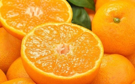 【予約受付】田村みかん　秀品5キロ/サイズおまかせ◆2026年11月下旬～2027年1月中旬頃に順次発送予定(お届け日指定不可)　紀伊国屋文左衛門本舗【kstb301B】