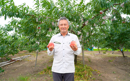 先行予約 新潟県産桃 約2kg (桃6個入) [桃 2025年発送分] 令和7年産桃 新潟フルーツ 新潟県三条市産桃 [石田フルーツガーデン]【011P011】